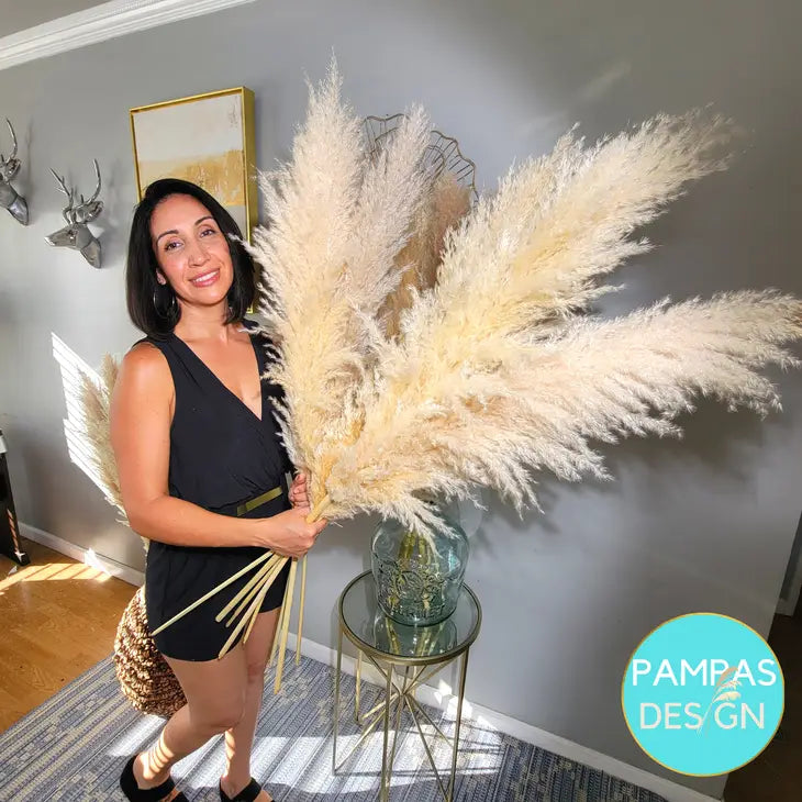 Huge XL Fluffy Pampas Grass - 1 Stem by Wild Lark