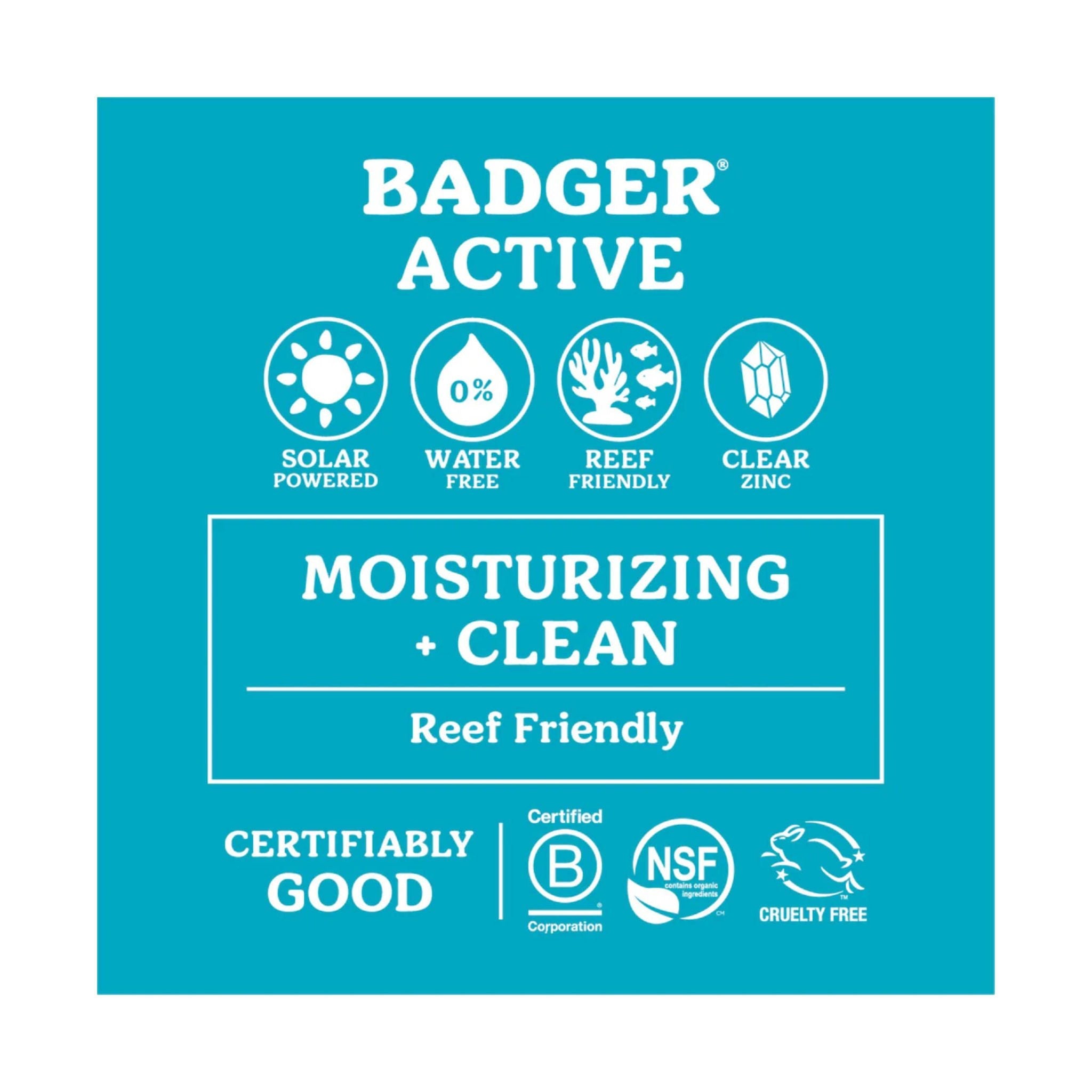 Badger Mineral Sunscreen Lip Balm - SPF 15 by Lenny's Shoe & Apparel