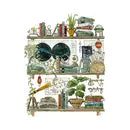 Lizzy Gass Postcards