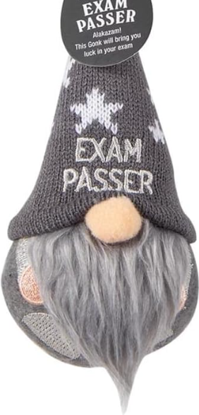 Lucky Gnomes Exam Passer by Homeportonline