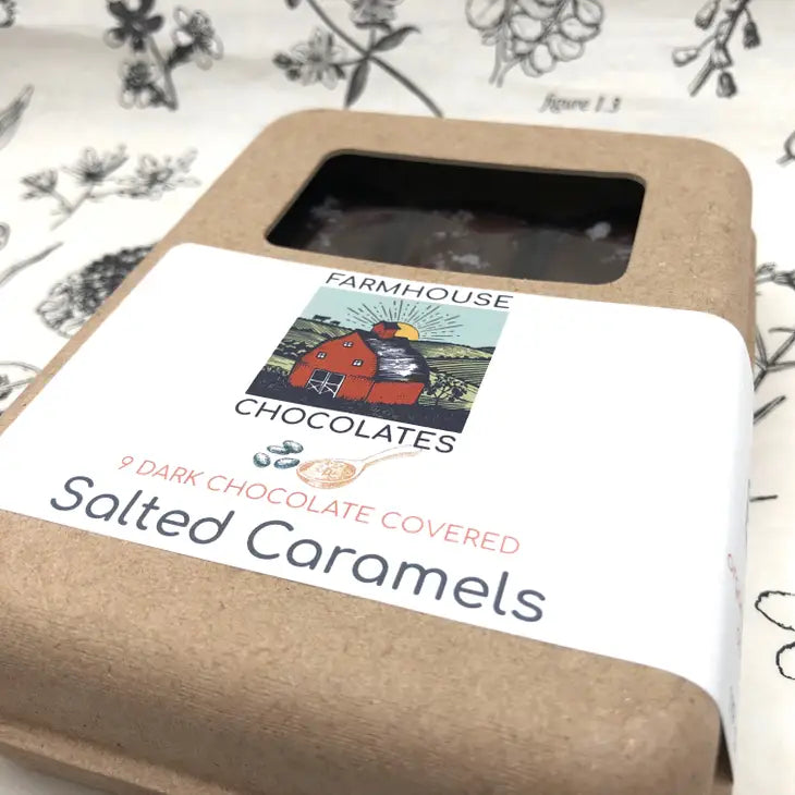 9 Piece Dark Chocolate Covered Salted Caramels