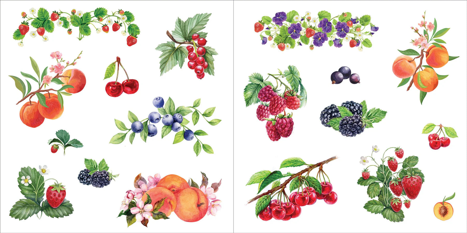 Sticker Book Bunches Of Botanicals by Homeportonline
