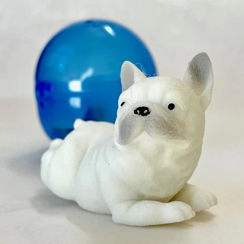 Gashapon Capsule For All Ages French Bulldog (Sold As An Individual Capsule) by Homeportonline