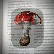 Clear Bookmark