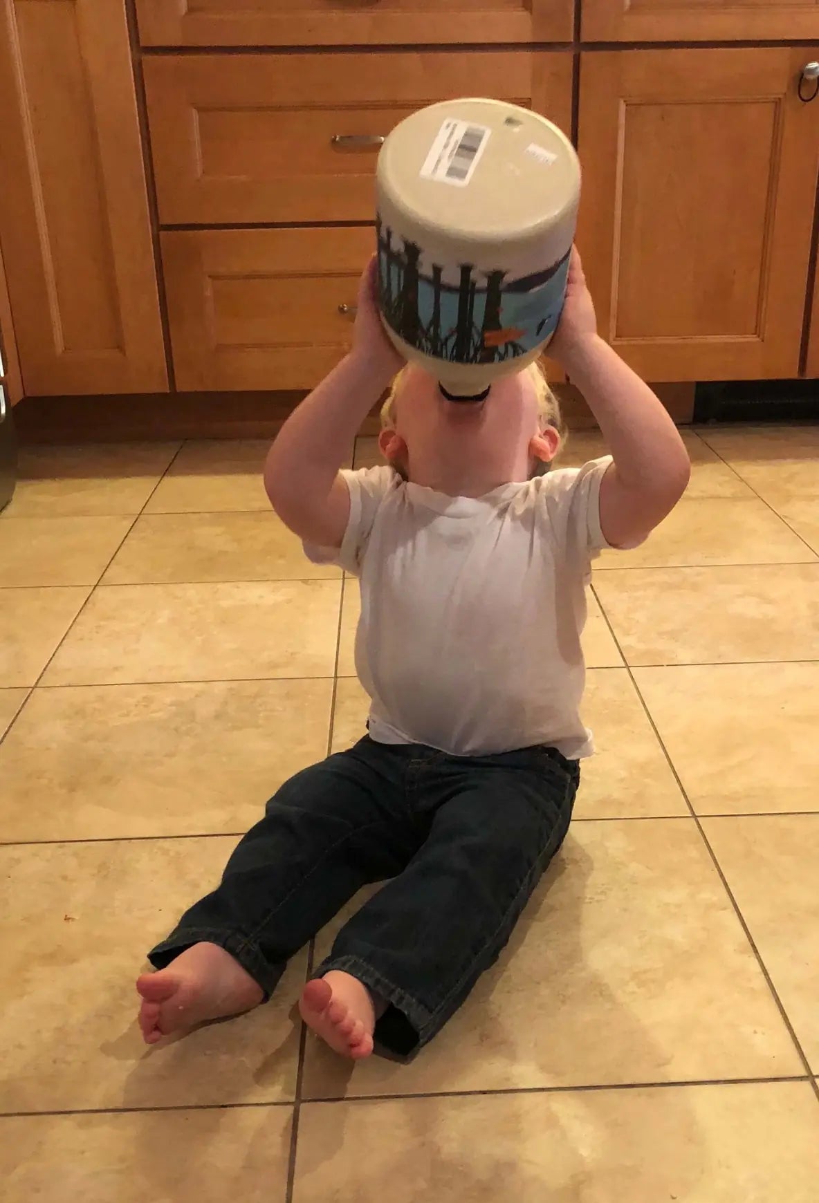 Two One Gallon Jugs of Pure Vermont Maple Syrup - 256 oz Total by Barred Woods Maple