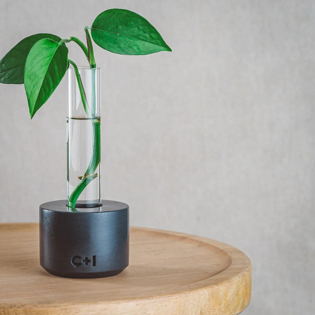 SALE! Propagation Station