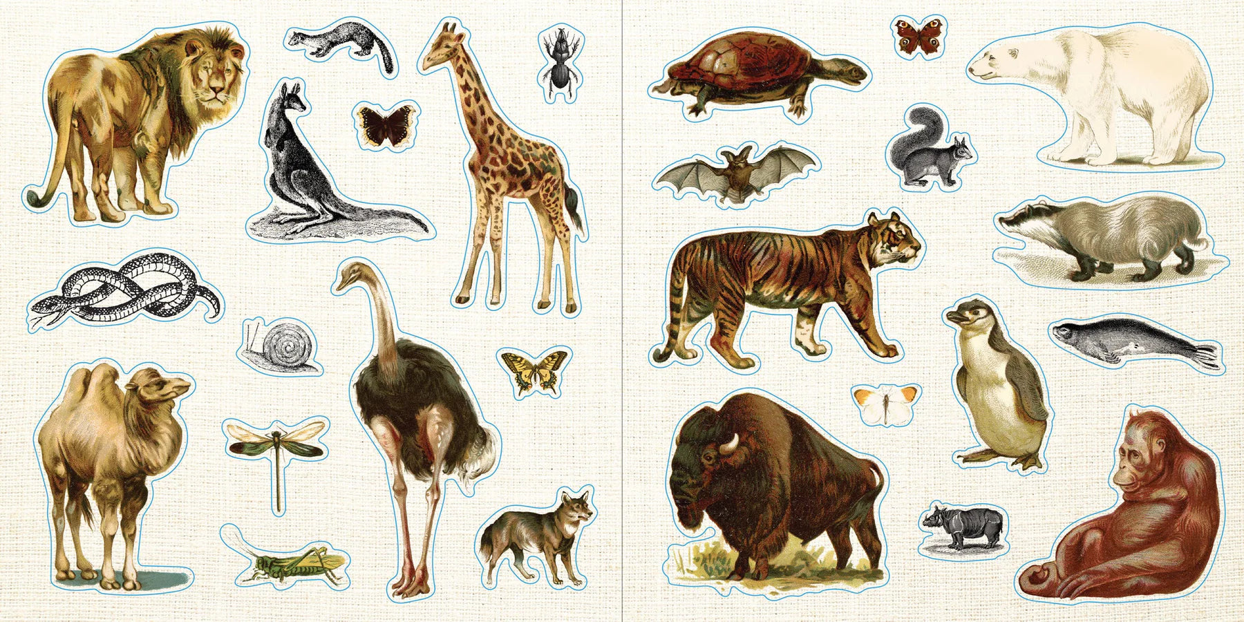 Sticker Book Ephemera! by Homeportonline