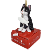 Black and White Cat with Fish Ornament