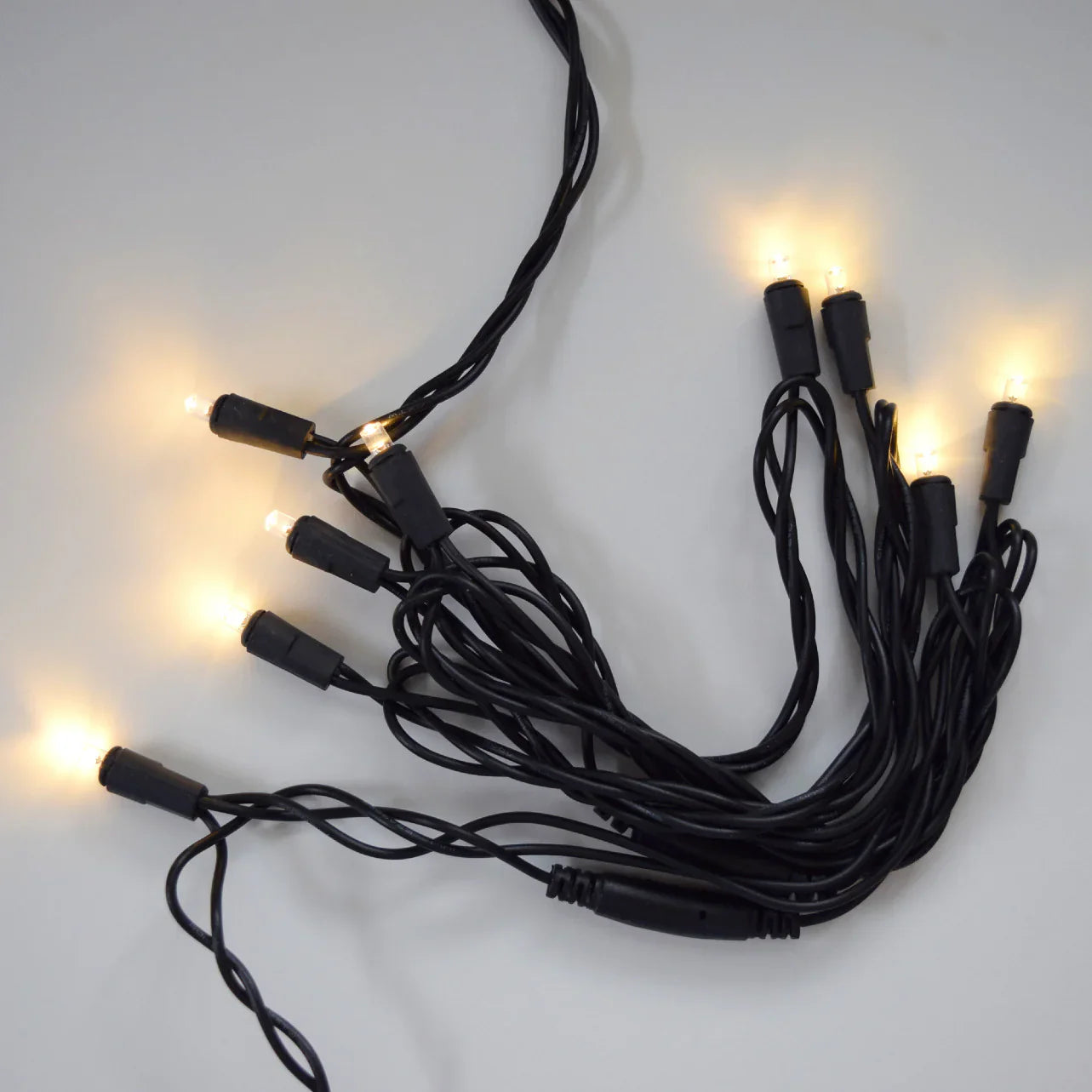 String Lights Cord 10 Mini LED Bulbs Black Wire by Homeportonline