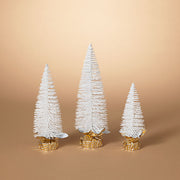 White Bottle Brush Tree  -