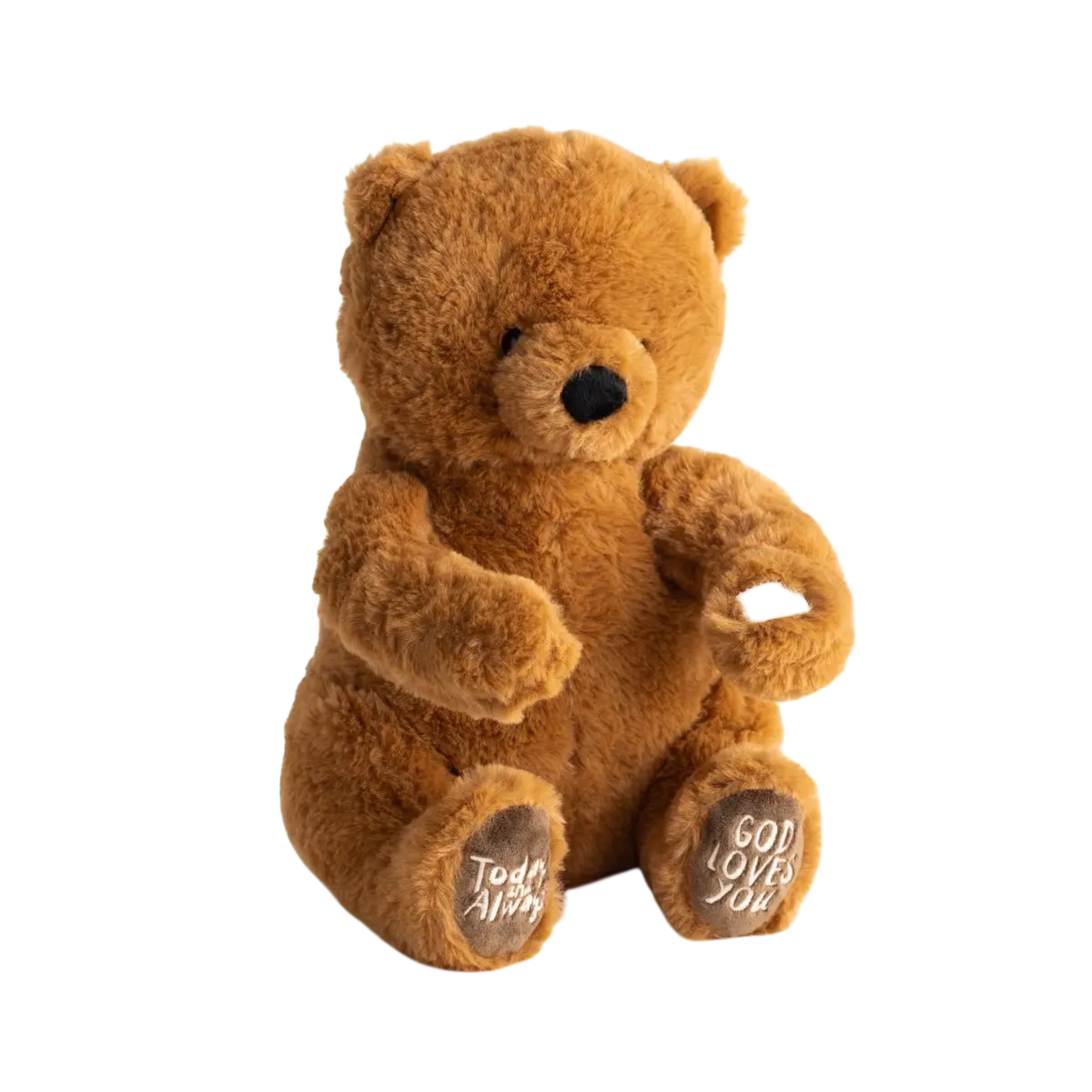 Today and Always - Mama And Baby Bear Plush Set