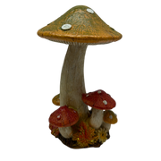 Hint of Green Harvest Mushrooms