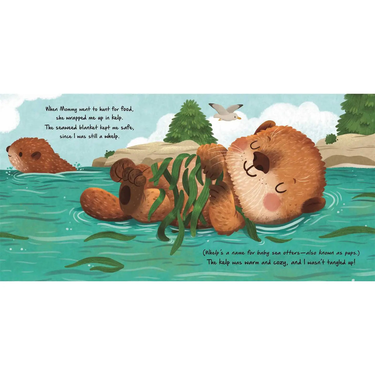 Little Otter | Board Book
