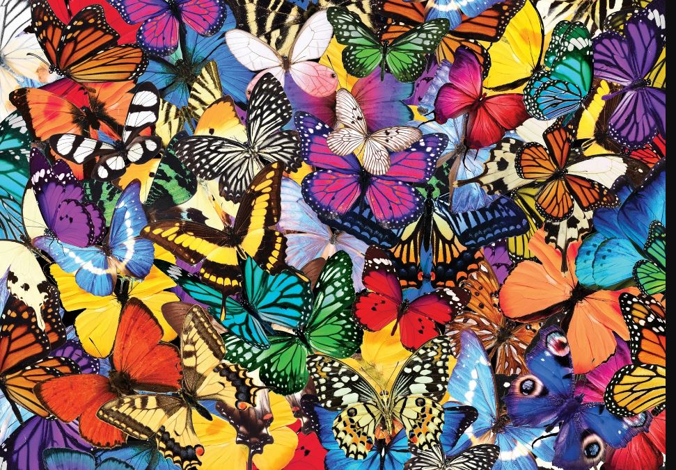 Puzzle 500 Piece All the Butterflies by Homeportonline