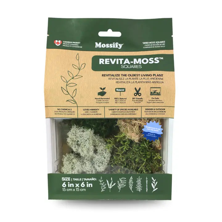 Revita-Moss Mixed Pack – 4 Species of Live / Dormant Moss