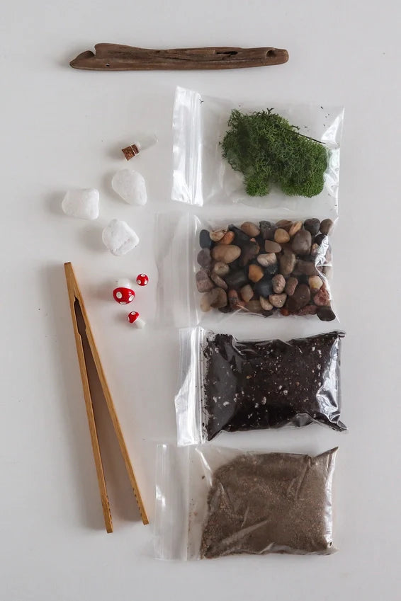 Diy Terrarium | Glass Plant Terrarium Kit