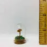 Mushroom Curiosity Jar Real Fungi Curio