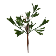 White Berry Mistletoe Pick
