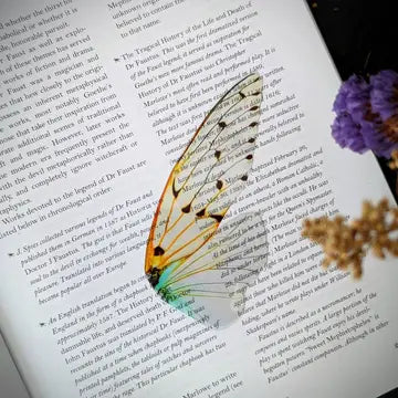 Clear Bookmark