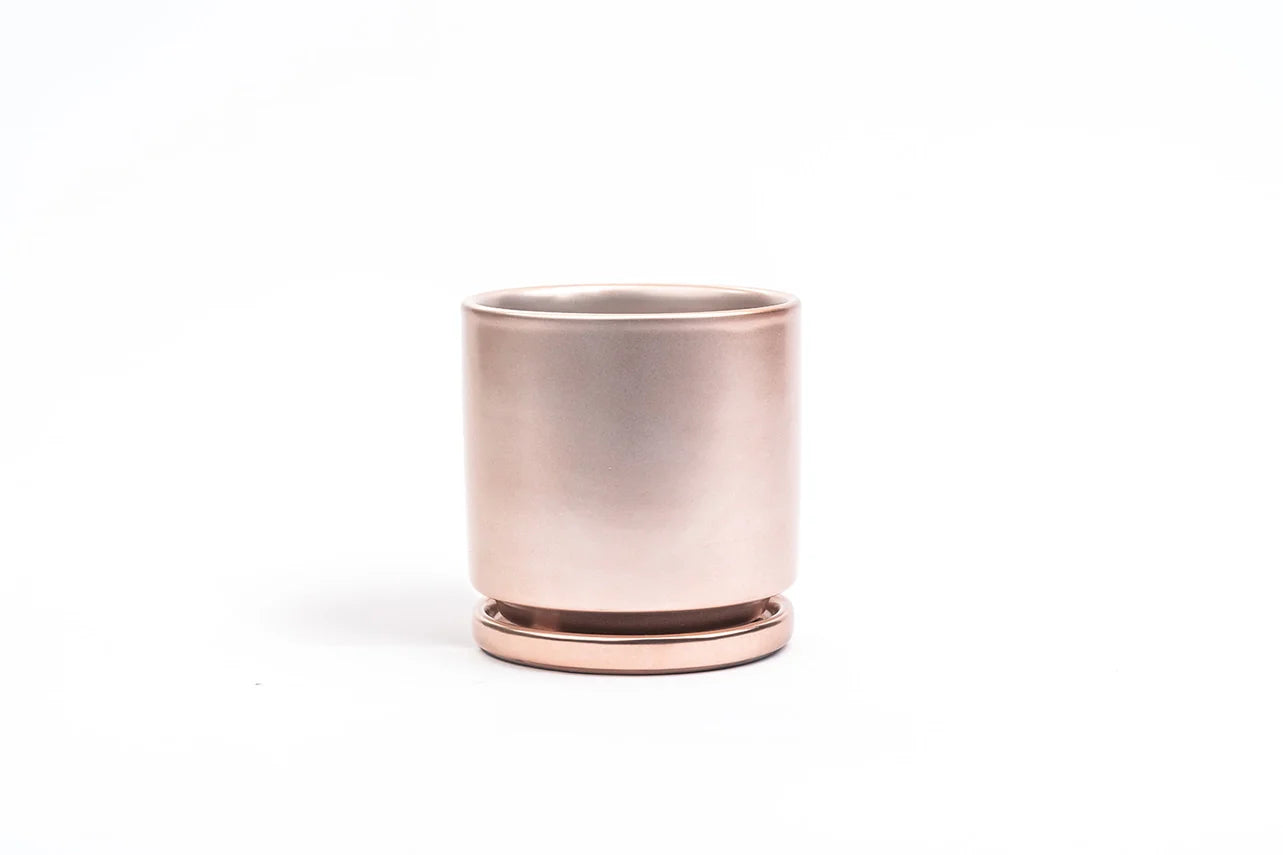 6.5" Gemstone Pot - with Water Saucer