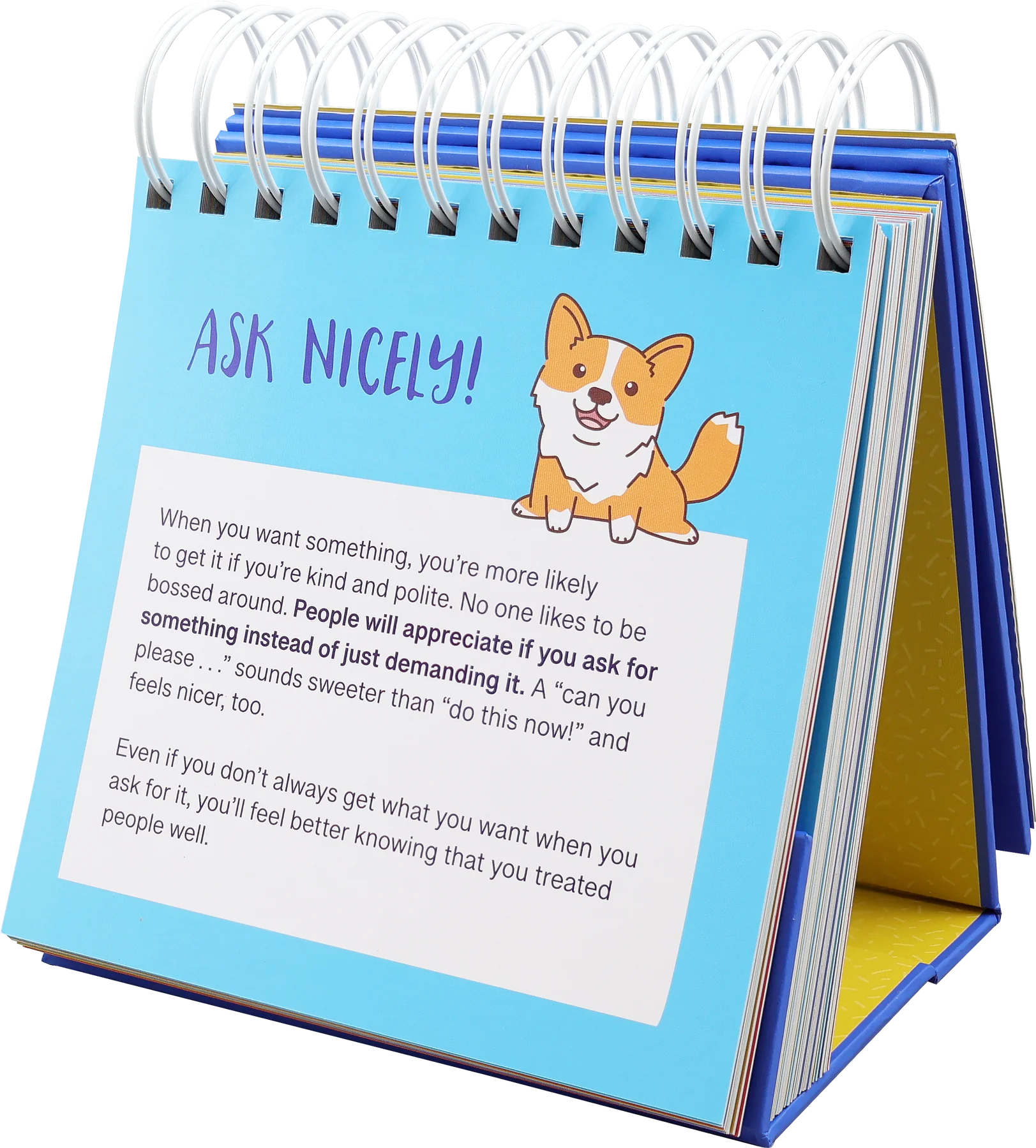 Flip Book Everyday Manners and Social Skills For Kids by Homeportonline
