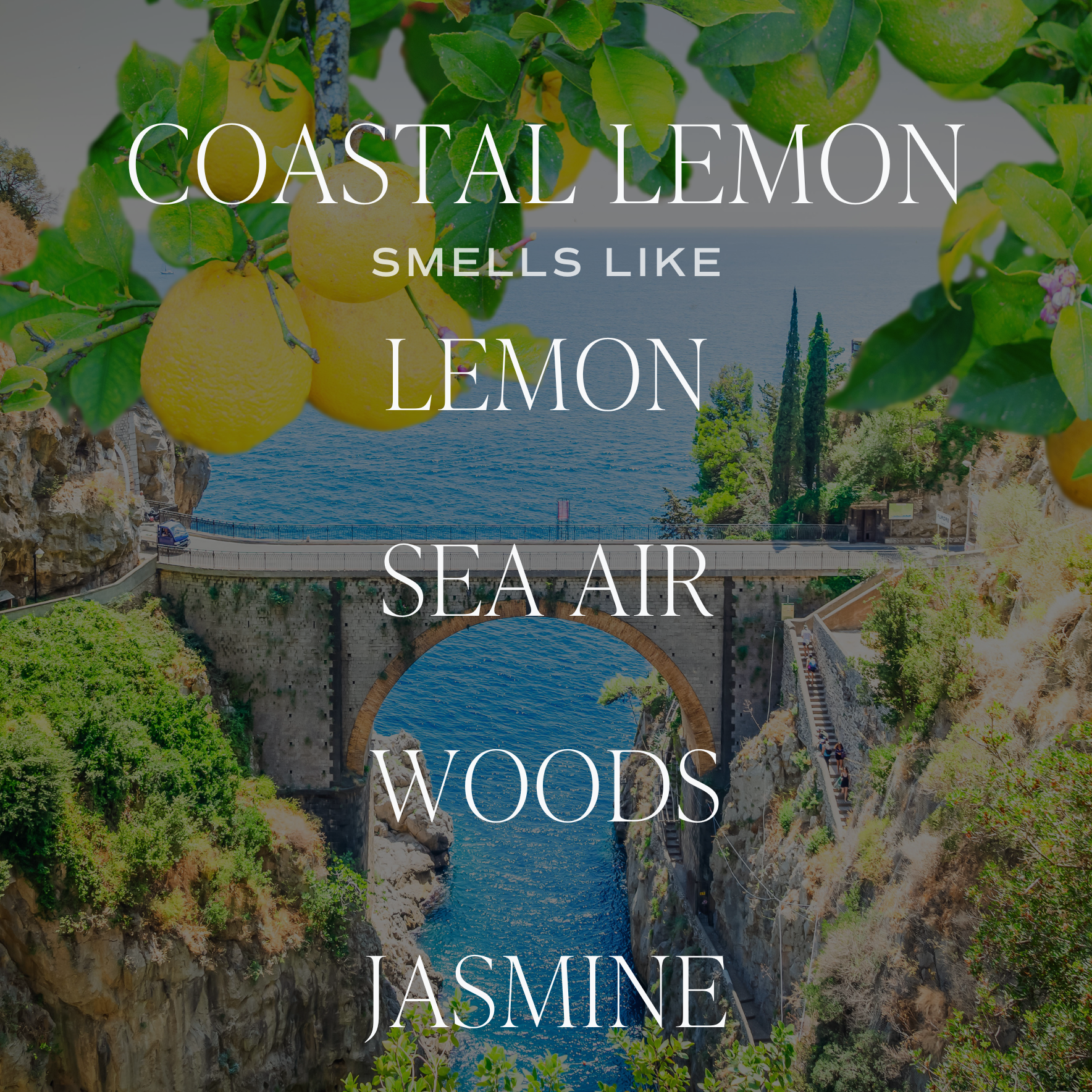 Coastal Lemon 11 oz Soy Candle - Home Decor & Gifts by Dear Lucy