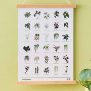Houseplant Print, Edition 2, with Botanical Illustrations