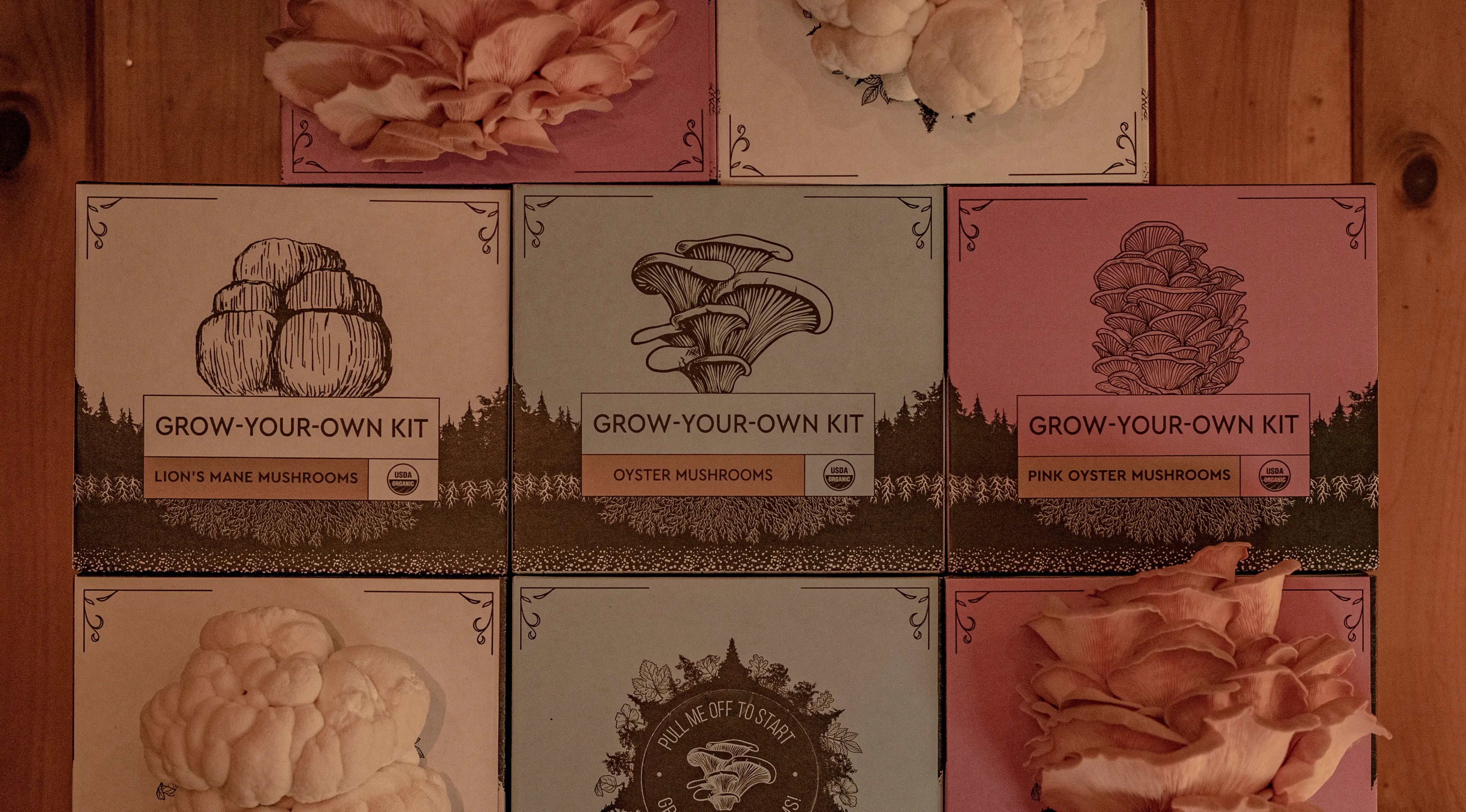 Organic Mushroom Grow-Your-Own Kits