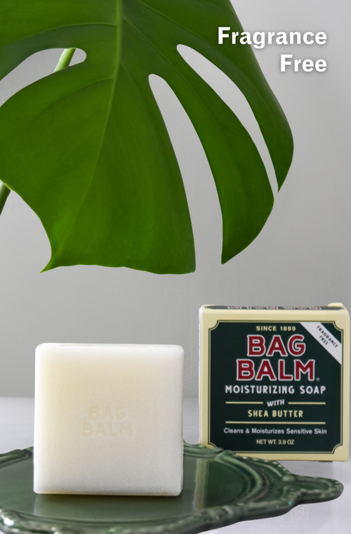 Bag Balm Shea Butter Moisturizing Soap 3.9oz Bar by Homeportonline