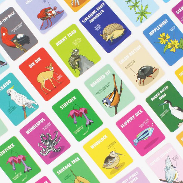 Card Game Don't Be A Dik Dik by Homeportonline
