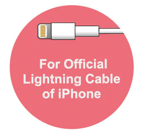 Cable Bite iPhone Turtle by Homeportonline