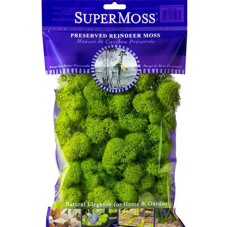 Sale!Reindeer Moss Preserved 2oz Bags