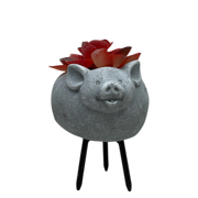 Faux Red Succulent In Planter - Pig