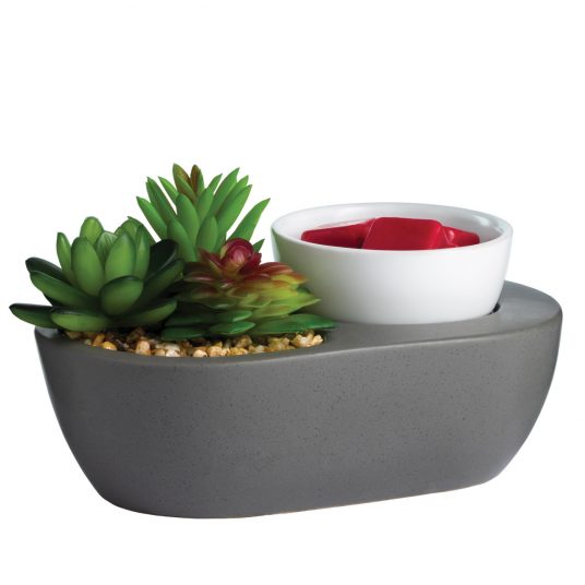 Wax Warmer - ArtScent - Succulent by Homeportonline