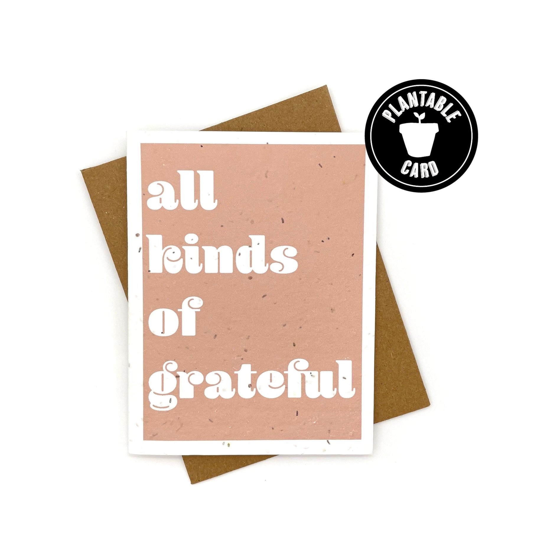 Plantable Greeting Cards - Cato & Company