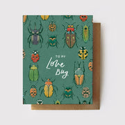 To My Love Bug - Beetles