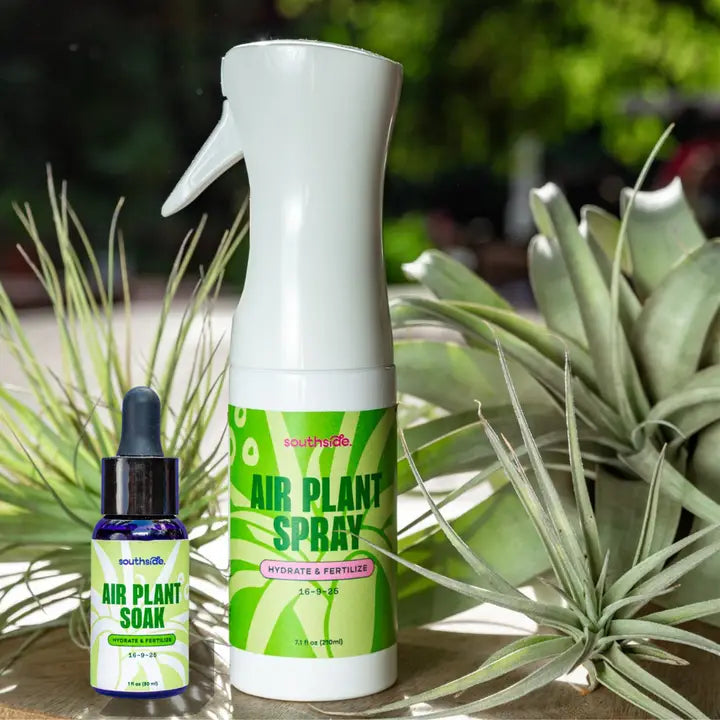 Air Plant Fertilizer - Spray and Soak