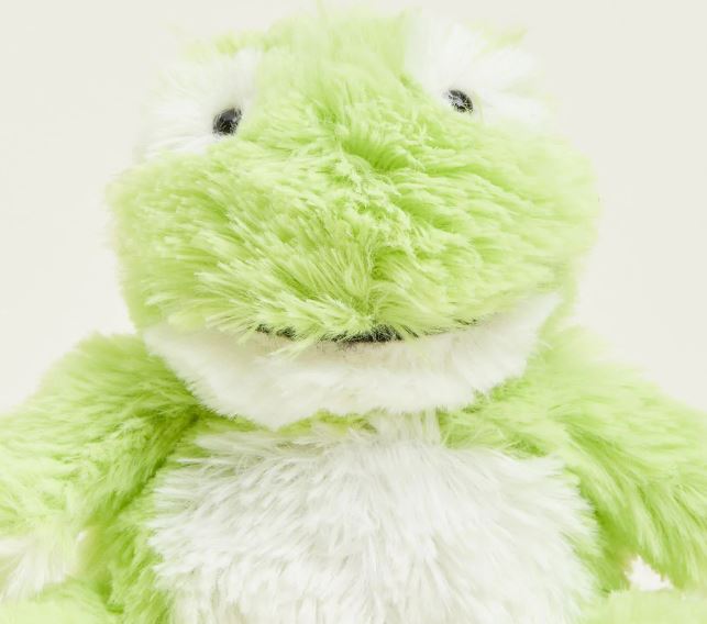 Warmies Junior Frog 9" by Homeportonline