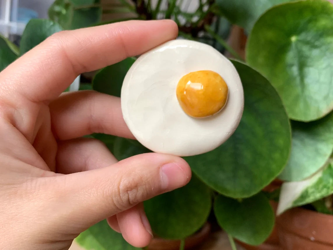 Ceramic Magnet