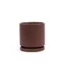 4.5" Gemstone Pot - with Water Saucer