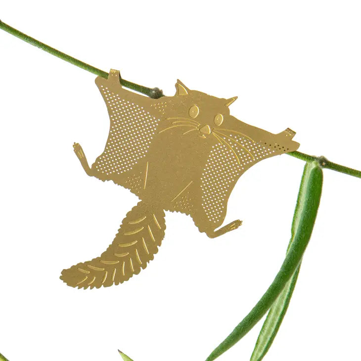 Plant Animal