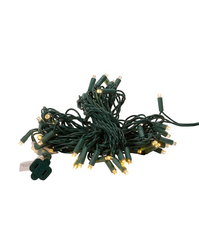50-Light 5mm Warm White LED Green Wire Light Set