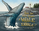 Have You Ever Heard a Whale Exhale? by Phoenix Books