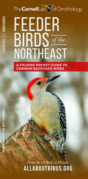 Feeder Birds of the Northeast : A Folding Pocket G by Phoenix Books