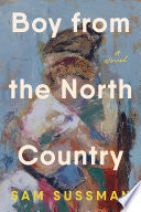 Boy from the North Country: A Novel by Phoenix Books