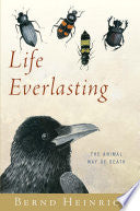 Life Everlasting