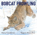 Bobcat Prowling by Phoenix Books