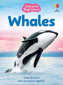 Beginners Whales by Phoenix Books