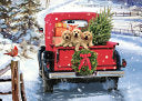 Bringing Home the Tree Deluxe Boxed Holiday Cards by Phoenix Books