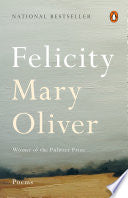 Felicity by Phoenix Books